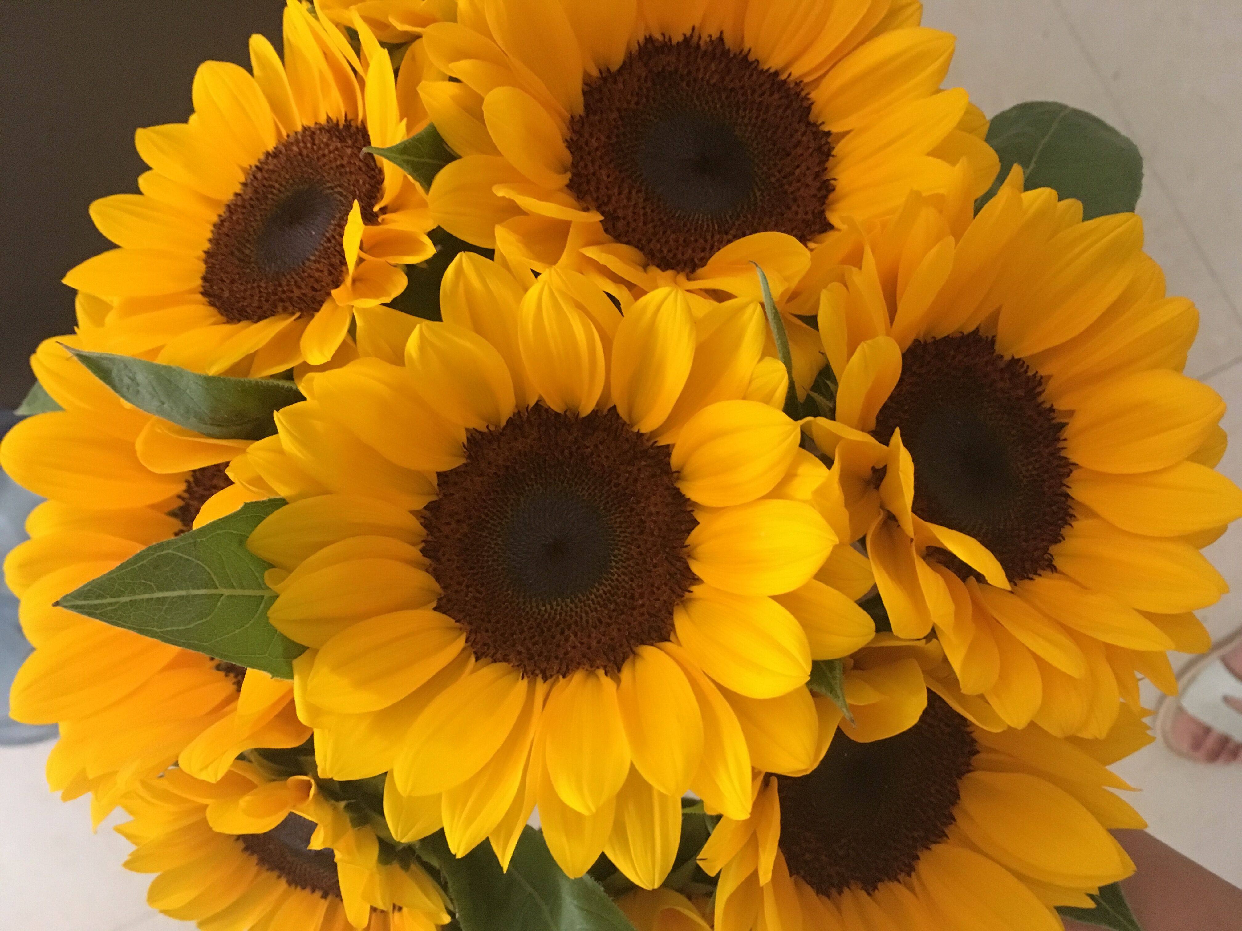 全民k歌鲜花低价