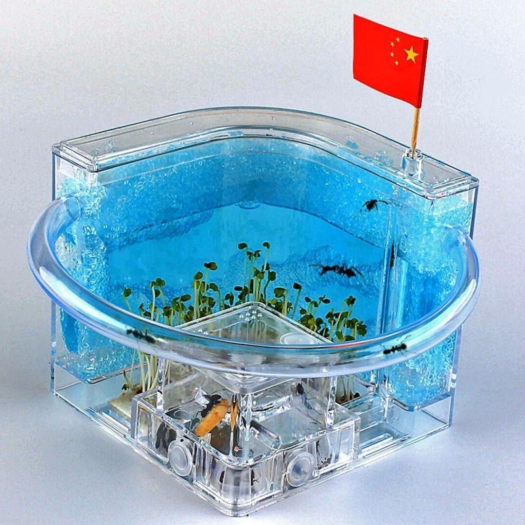 特价蚂蚁城堡 超大号_蚂蚁工坊城堡别墅宫殿无毒生态玩具迷你特大号