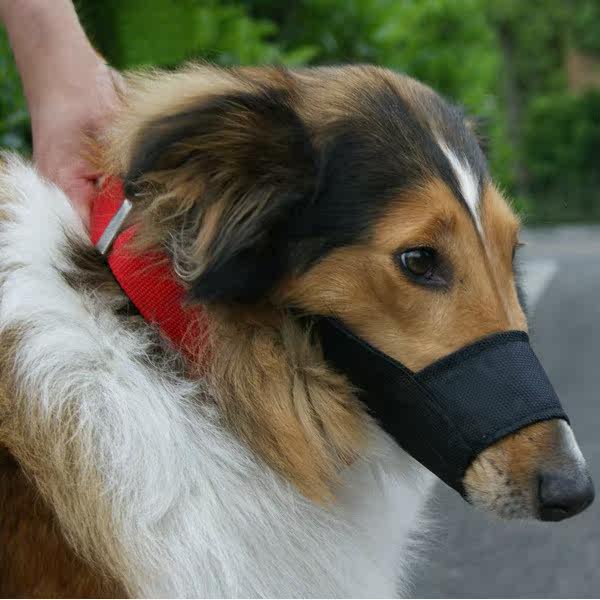 特价嘴套 狗 大型_宠物黑色尼龙布嘴套狗防护口罩 防咬人防捡吃垃圾