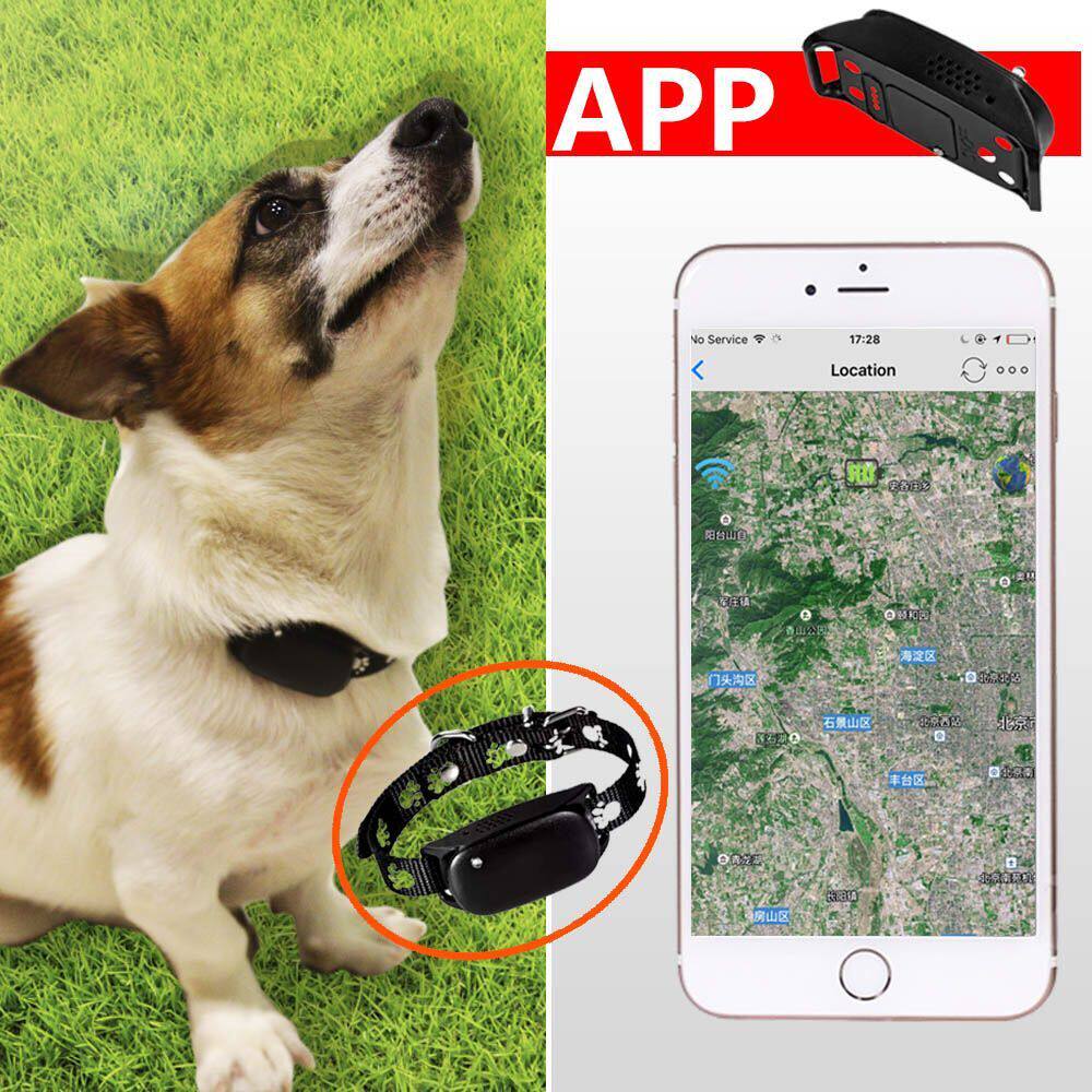 特价宠物追踪器_防水宠物定位器犬猫gps/wifi定位追踪器动物宠物项圈