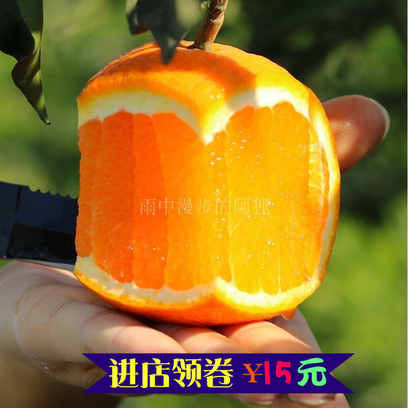 南非原装进口水果夏橙埃及新鲜饮品橙子榨汁脐
