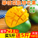 鼎力相助99er6在线播放国产福佑战地巨蟒在哪里能看晦涩冰上
