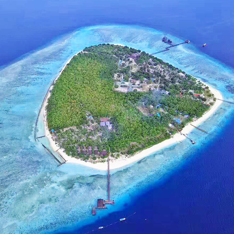 仙本那邦邦岛白珍珠丽贝度假村pompom mussah