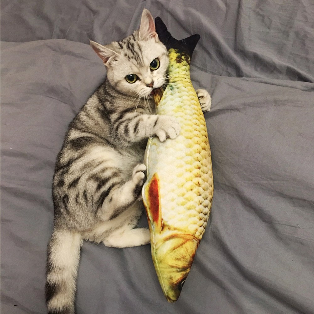 热销英短蓝猫玩具_猫咪玩具薄荷仿真鱼宠物抱枕头逗猫毛绒鲤鱼草鱼