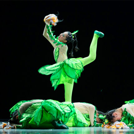 儿童花仙子表演服装开场舞花朵演出服群舞花儿迎春七彩梦想舞蹈服_不