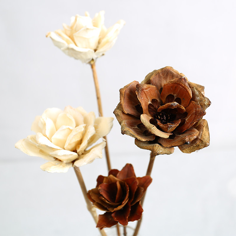 热销干花摆件 文艺_ins曼陀罗花手工干花花束小清新创意装饰拍照道具