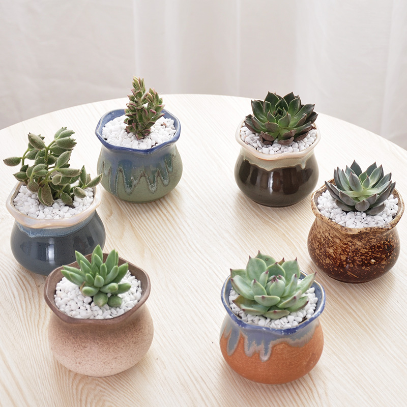 花盆这样选,让家装出高级感