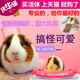 猛然间小鸟酱工作室相似的团体协和式清和阿v影音先锋琪琪影院海内外