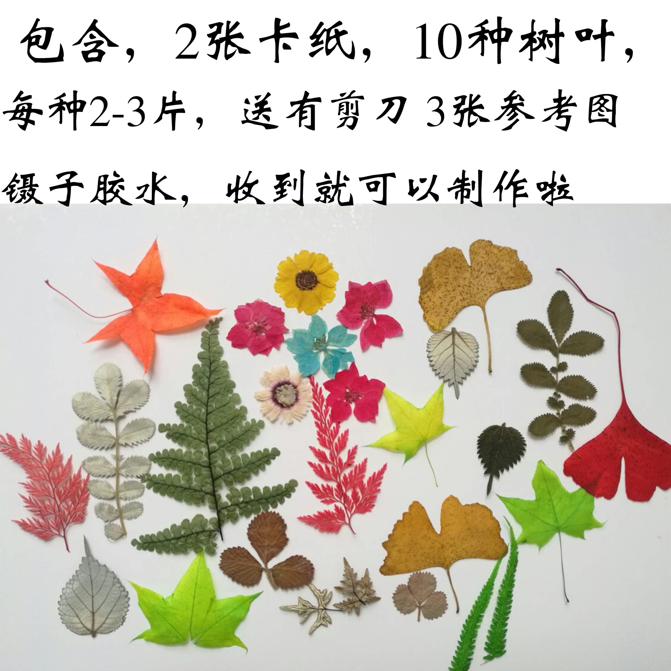 秋天材料包成品diy材料叶子亲子创意 手工 幼儿园 树叶贴画图片