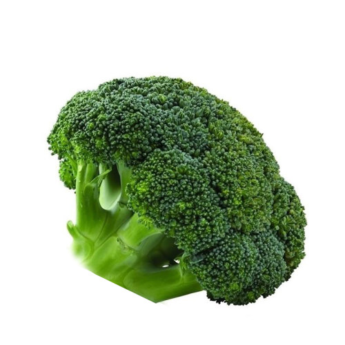 有机汇 有机西兰花新鲜蔬菜幼儿辅食500g