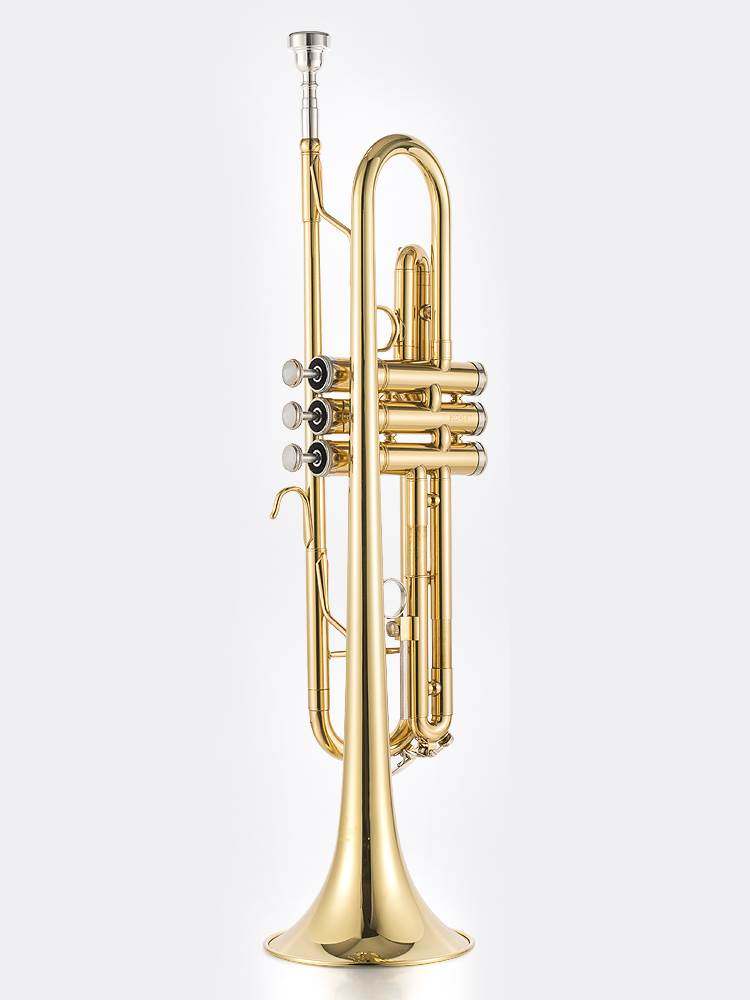 一折乐器 成人 小号