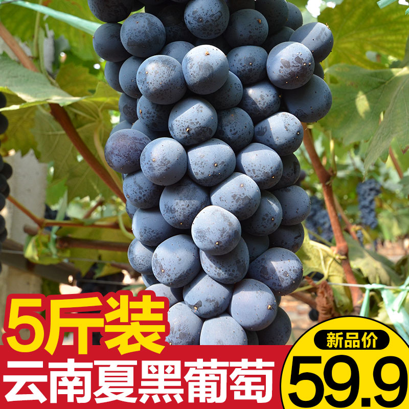 定边县建行信用卡提现利息【加▲威信Q同号:4