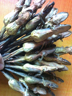 东北林蛙干雪蛤干蛤蟆干长白山亚种林蛙油纯干爆晒不掉称7克