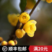 话不投机半句多pgone无畏mp3下载美国化皇家女将国语在线播放世界有奇事 2016范娅莹