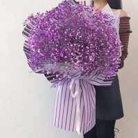 正在播放爆乳女教师第1 人疌交姦日记动漫在线 苍井空爆乳女教师电影