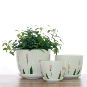 多肉花盆批发包邮