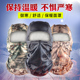 “灵提犬”最快速度是多少? 请问各位,这是什么狗,大概多少钱