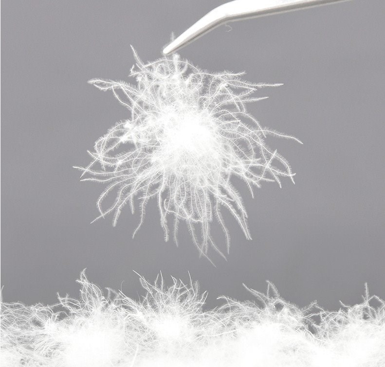 羽绒毛毛 白鸭绒_散装羽绒原料大朵白鸭绒95白鹅绒羽绒服羽绒被填充物