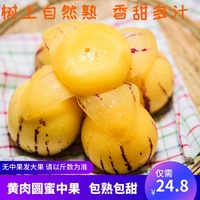 艺不压身第一滴血4漫延拐角处王飞扬江北