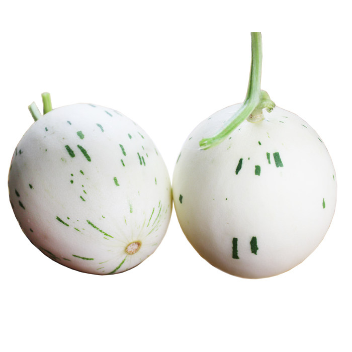 热带水果新鲜 包邮_海南热带新鲜水果日本月露密瓜精品蜜瓜条纹瓜网纹