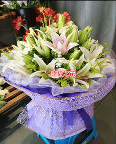 长春树森摄影地址