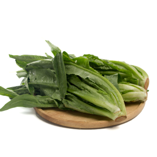 蔬菜 香麦菜/油麦菜500克 生鲜超市 新鲜蔬菜绿叶菜沃鲜汇