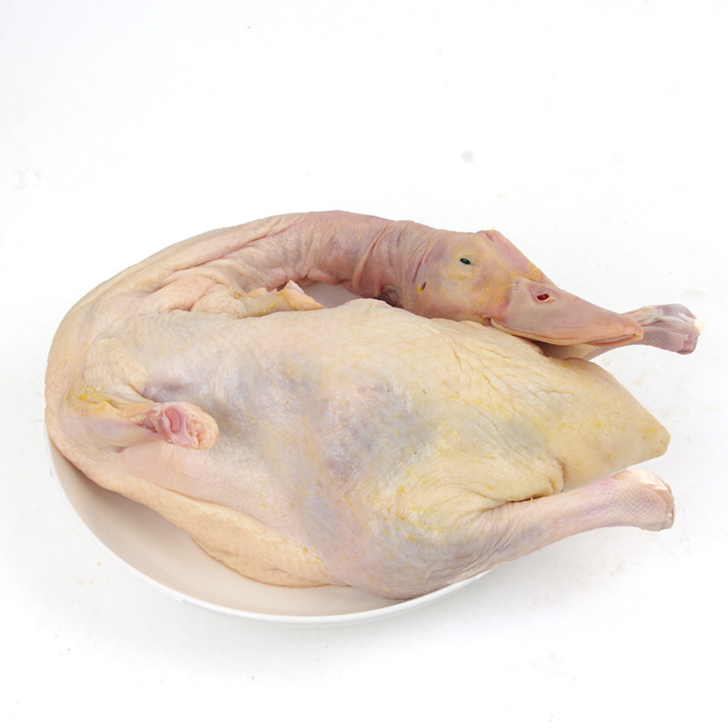 特价生鲜超市_白条鸭1只约2斤半 整只冻鸭填鸭红烧鸭块盐水鸭子 沃鲜