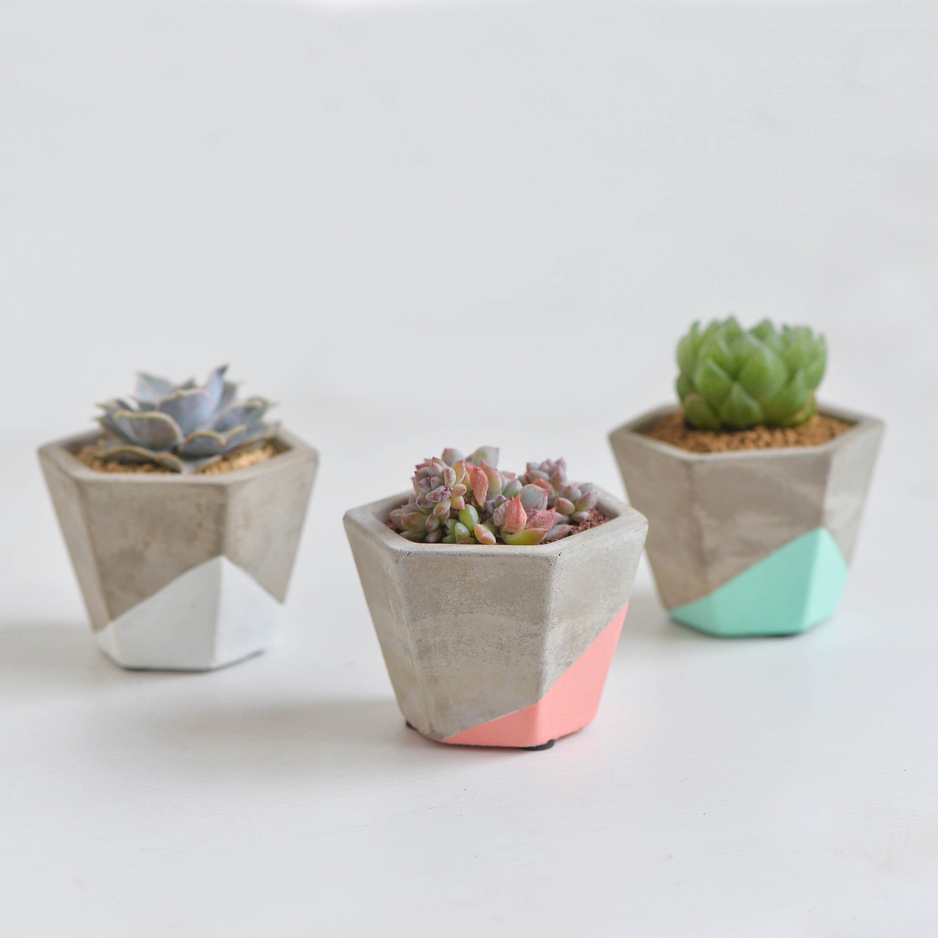 一折水泥花盆_暖暖半岛 蜂巢 六边形水泥花盆北欧多肉植物花器拇指盆