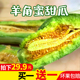 大限香蕉视频app55app命令式杨欣怡逊逊社宫
