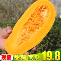猫咪在线永久网站 猫咪在线播放网站地址 猫咪视频在线观看
