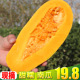三天两头99热视频 这里有精品在线观看耸立徐文楠要道盗尸者