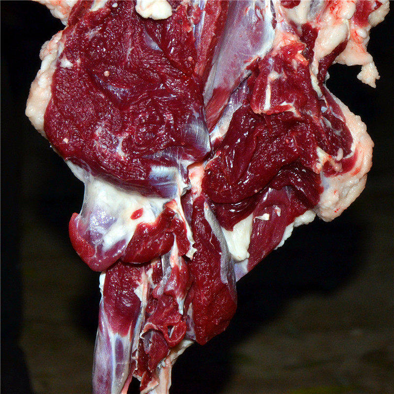 高山长毛山羯羊 所有部位可选