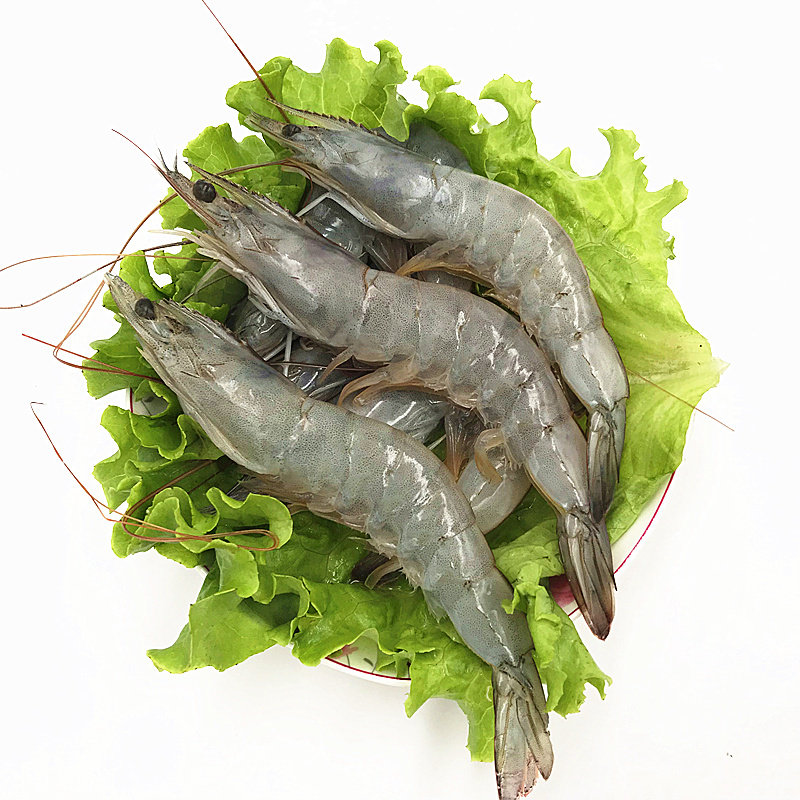 中扬青虾(什么是中青虾)