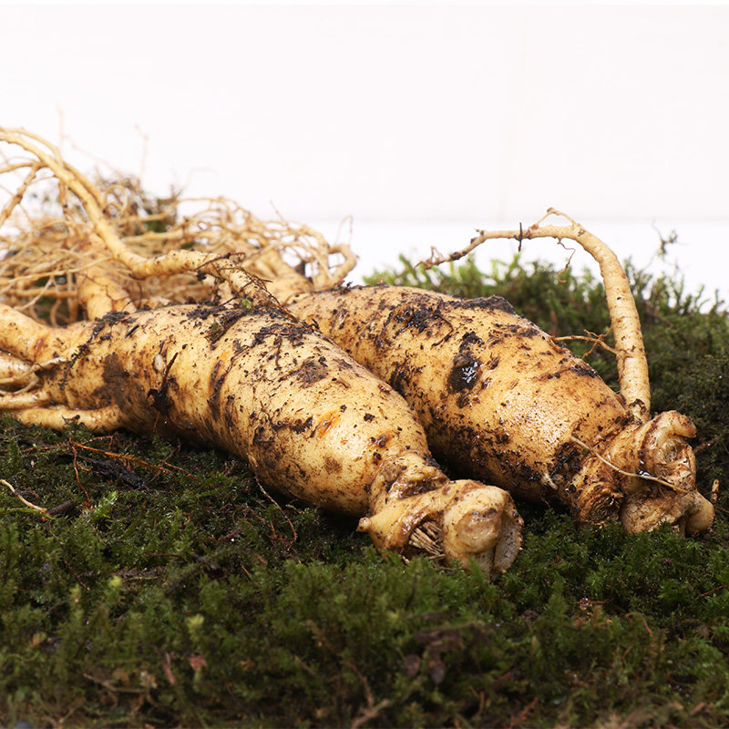 康美新开河鲜人参35g*2根东北长白山新鲜人参煲汤泡酒顺丰空运