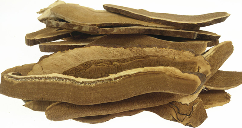 西藏野生灵芝 灵芝片 灵芝茶 泡水泡酒煲汤 滋补