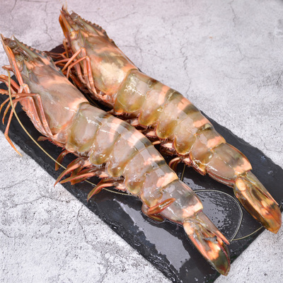 新鲜野生巨大虎虾鲜活冷冻超大老虎虾黑虎虾礼盒虾2只1斤顺丰包邮