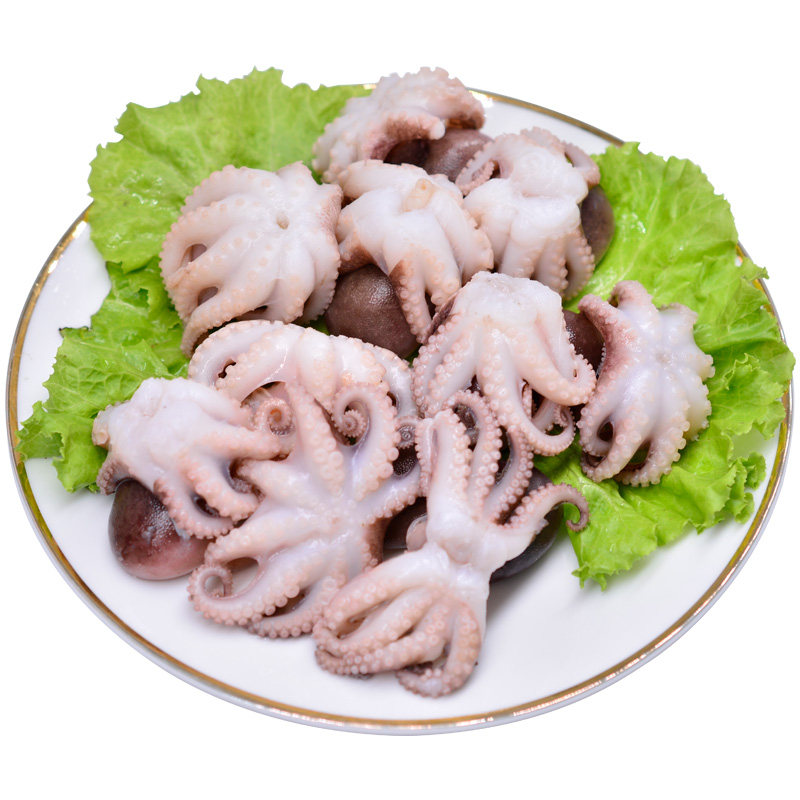 八爪鱼海鲜迷你八爪鱼鲜活小章鱼活体八带鱼