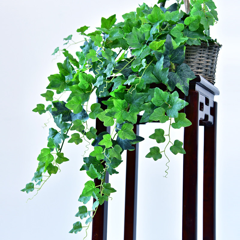 仿真常春藤树叶藤条壁挂装饰假花藤塑料藤蔓植物绿植室内吊兰绿叶