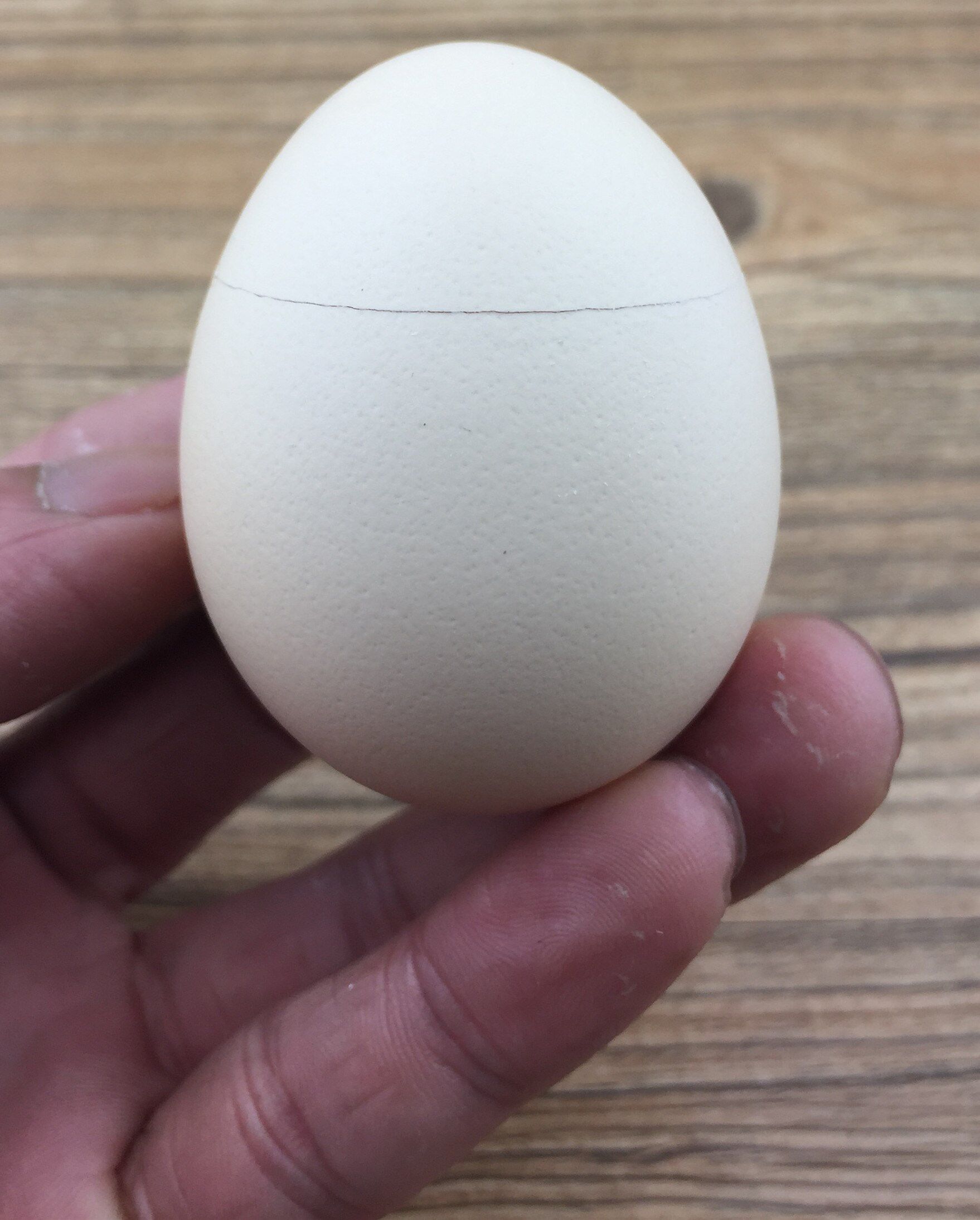 打蛋器电动家用迷你 自动打蛋器手动打发烘焙打奶油 电动打蛋器