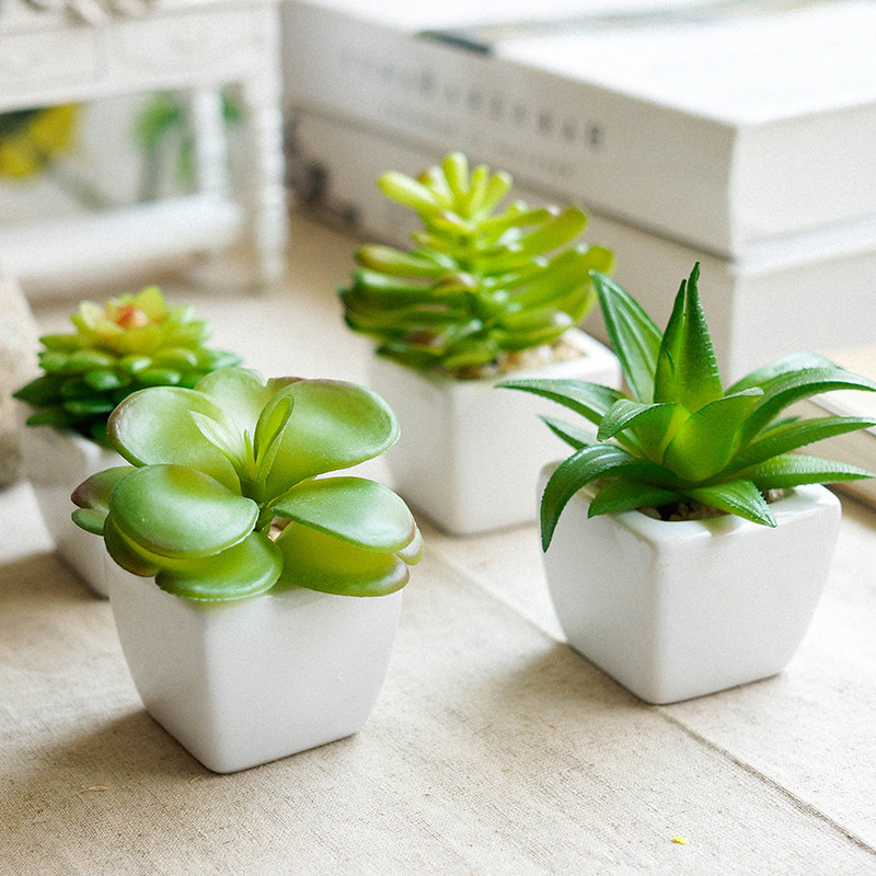 特价塑料小盆景_小清新多肉仿真植物假花盆栽盆景 迷你肉肉塑料花方形