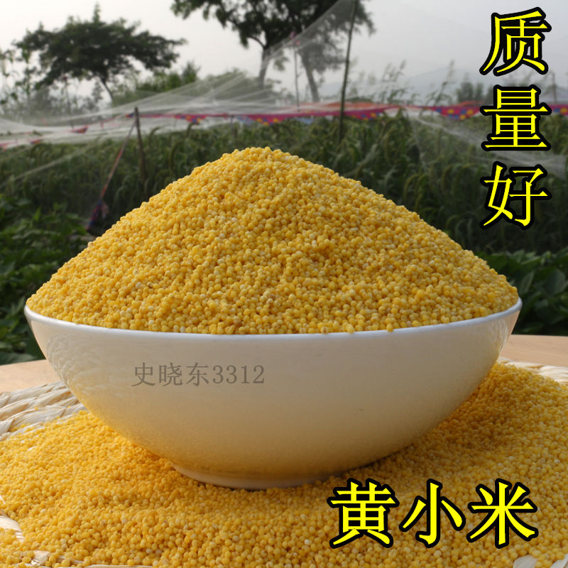 热销小黄米小米粥_2018年新产农家小米子黄小米小黄米月子米小米粥