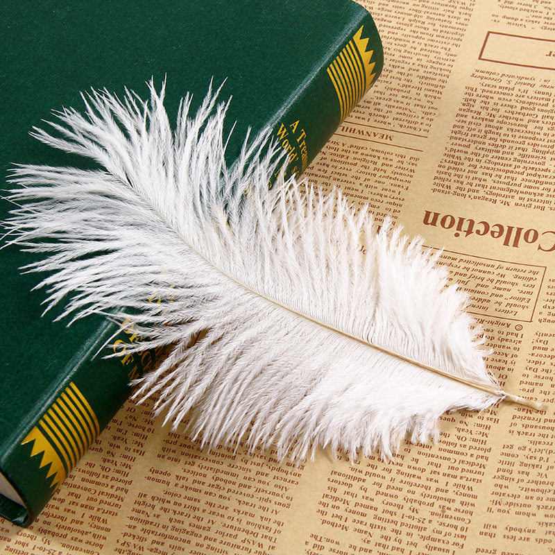 ins白色鸵鸟羽毛网店拍照背景饰品摆件美甲拍摄背景摄影小道具