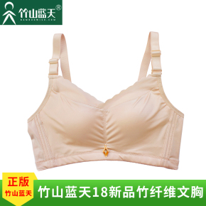 竹山蓝天文胸2018新品胸罩无钢圈后三排搭扣
