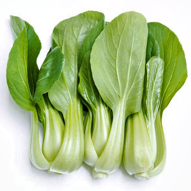 小白菜菜种子 四季播