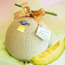 【日本网纹瓜】最新最全日本网纹瓜搭配优惠