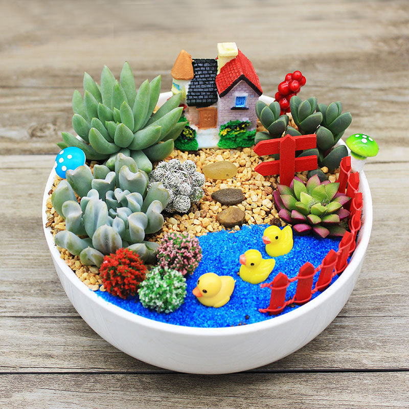 多肉植物组合盆栽防辐射多肉拼盘套餐含盒diy组合盆景创意微景观