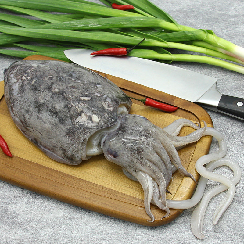 生鲜海鲜 野生_舟山海鲜墨鱼鲜乌贼新鲜墨鱼大乌贼野生墨鱼生鲜大目鱼