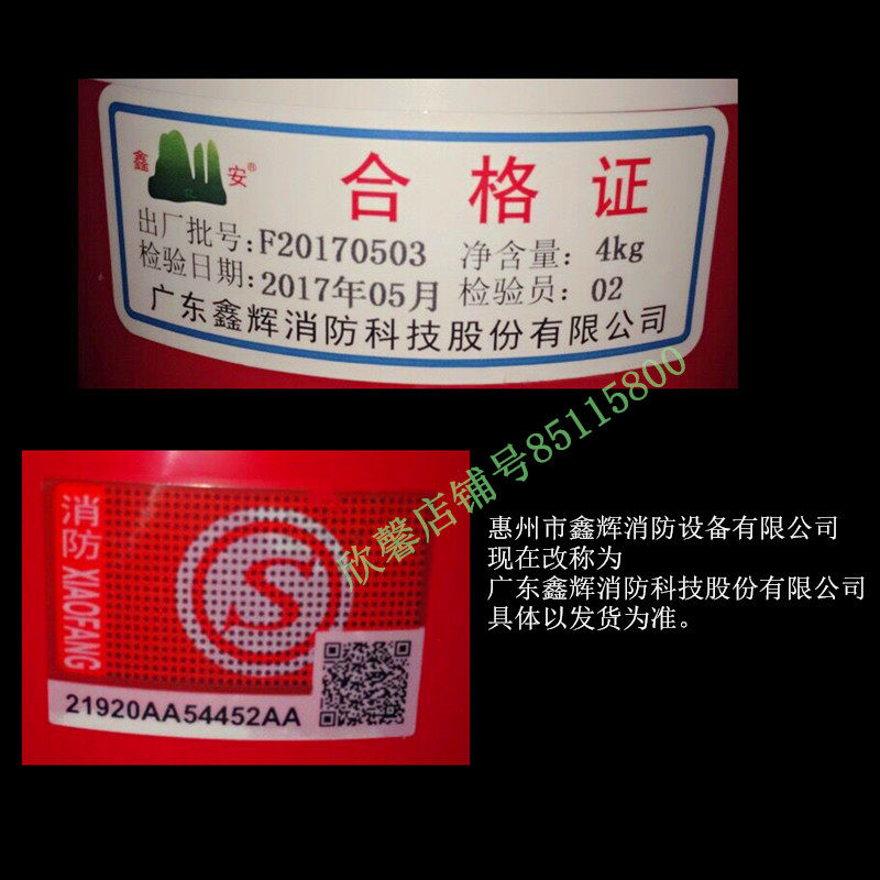 言灭火器4kg干粉 手提式4公斤灭火器 家用仓库消防器材 包邮