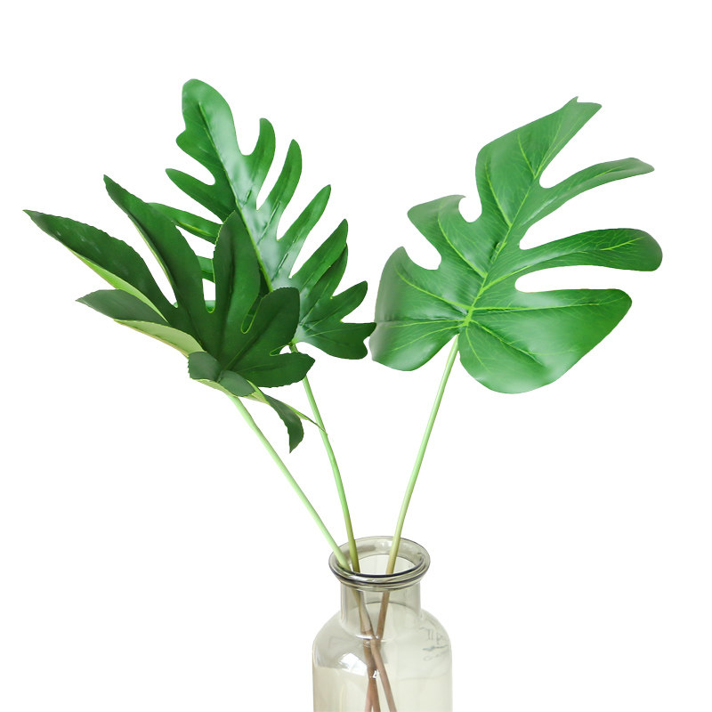 北欧风树叶 大叶插花绿植植物 ins叶子