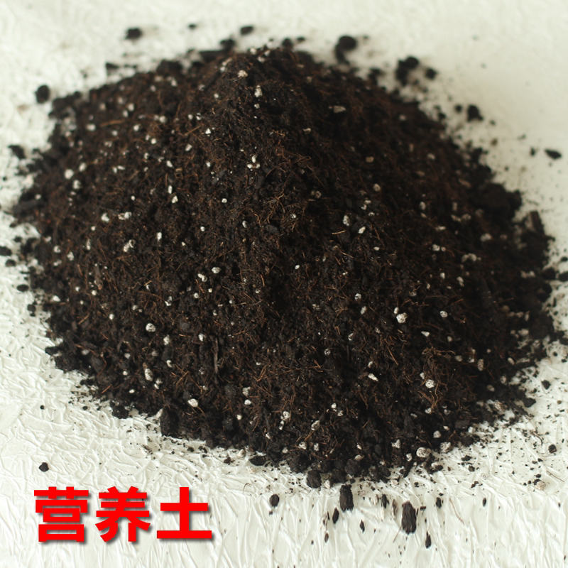 养花肥料_花泥营养土通用型包邮花肥料养花种花种菜种植土多肉泥土花